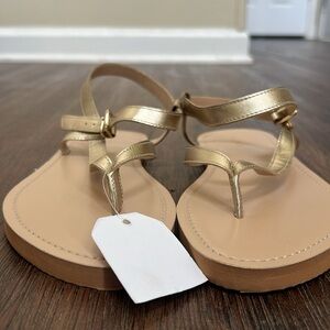 Pilcro Anthropologie Gold Women's Thong Buckle Sandals US 5.5/EU 36